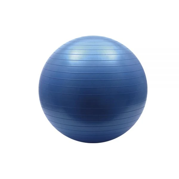 FG20 - BOLA PROFESSIONAL FISIOBALL FISIOPAUHER - 65 CM - AZUL Lote30015I0