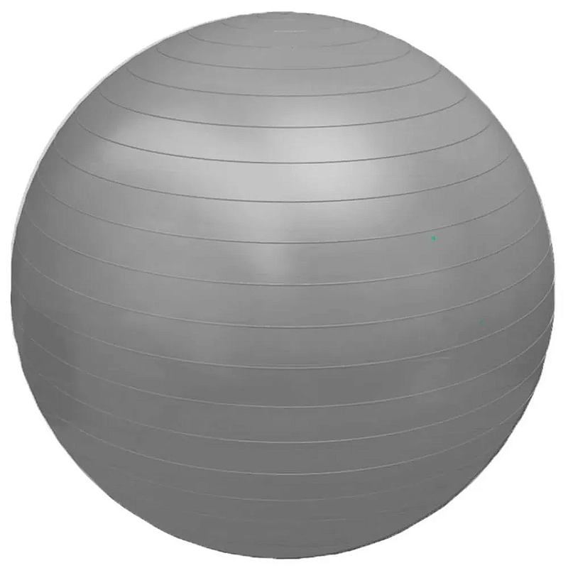FG20 - BOLA PROFESSIONAL FISIOBALL FISIOPAUHER - 75 CM - CINZA Lote30015I0